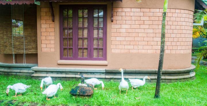 Pagoda Resorts Alappuzha Buitenkant foto